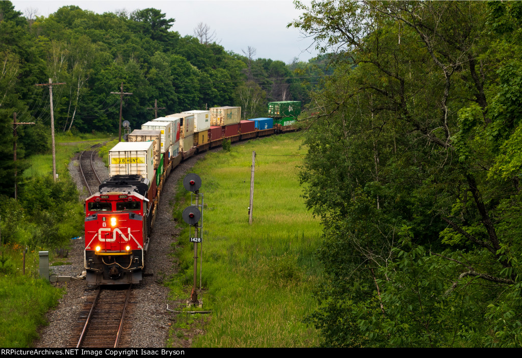 CN 8901